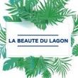 La beaute du lagon